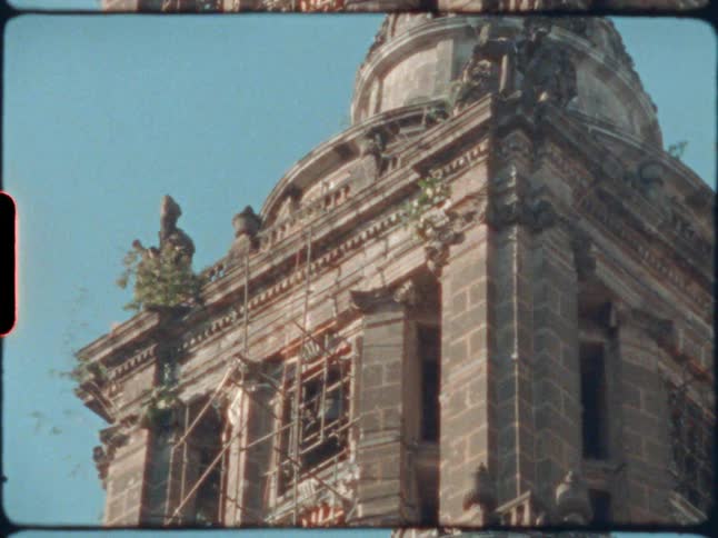 A building with scaffolding with a plant with leaves in the foreground and the sky and clouds in the background