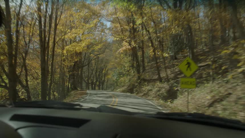 A car is driving through a forest