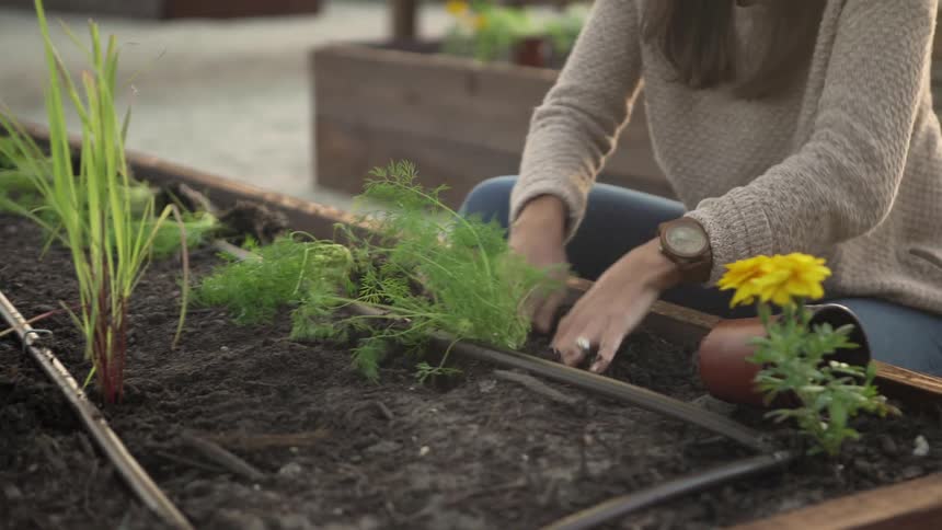 A woman planting flowers in a planter