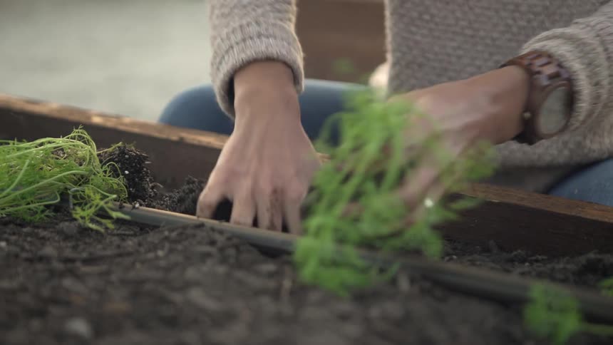 Woman tending to garden and placing plants in a large plant pot