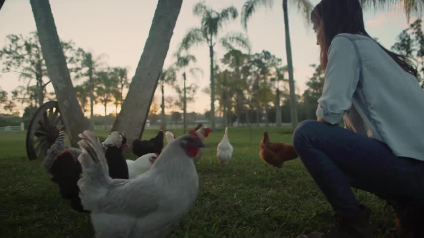 A woman kneels down to a group of chickens in rural farm setting