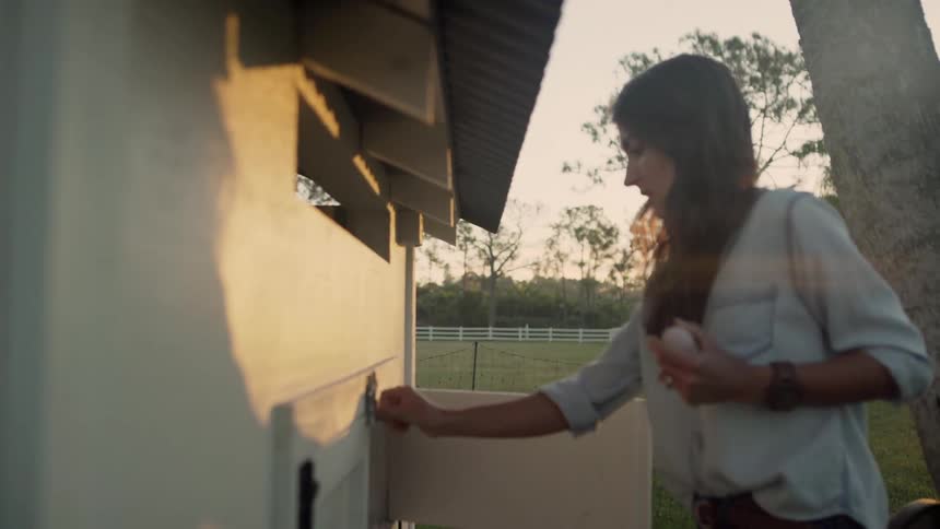 A woman removes an egg from the hen house