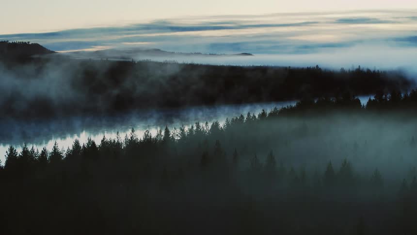 Aerial view of mist over the pine tree forest near the river on the mountains at sunrise