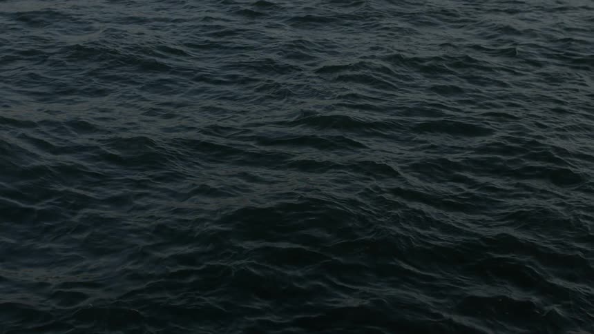 Waterfront
