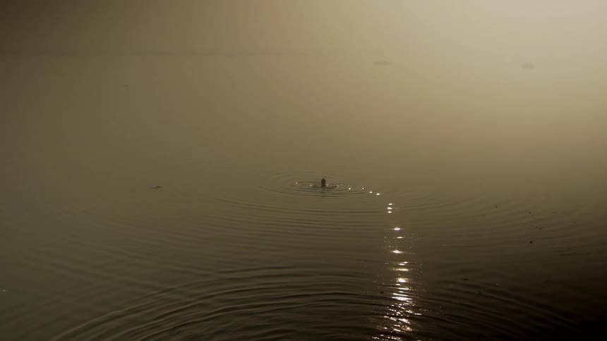 Man swimming in a murky lake at sunset