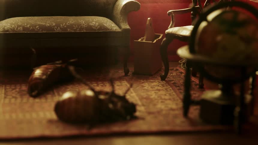 Bugs upside down on rug
