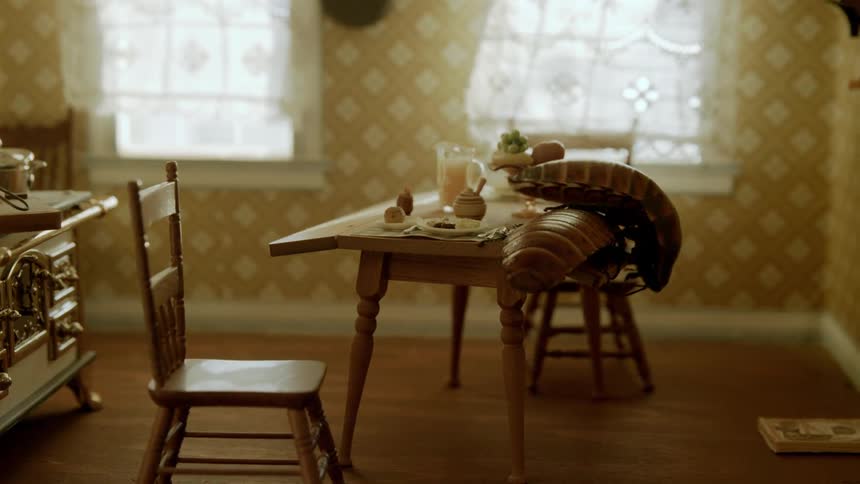 Cockroaches are on a miniature table in a dollhouse