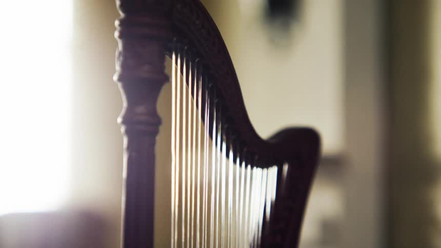 A violin is displayed in a room