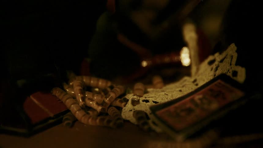 Worms crawling around