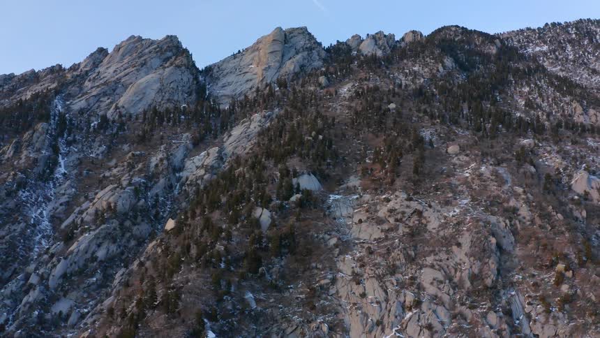 Patches of evergreen trees on a mountain slope under a clear sky