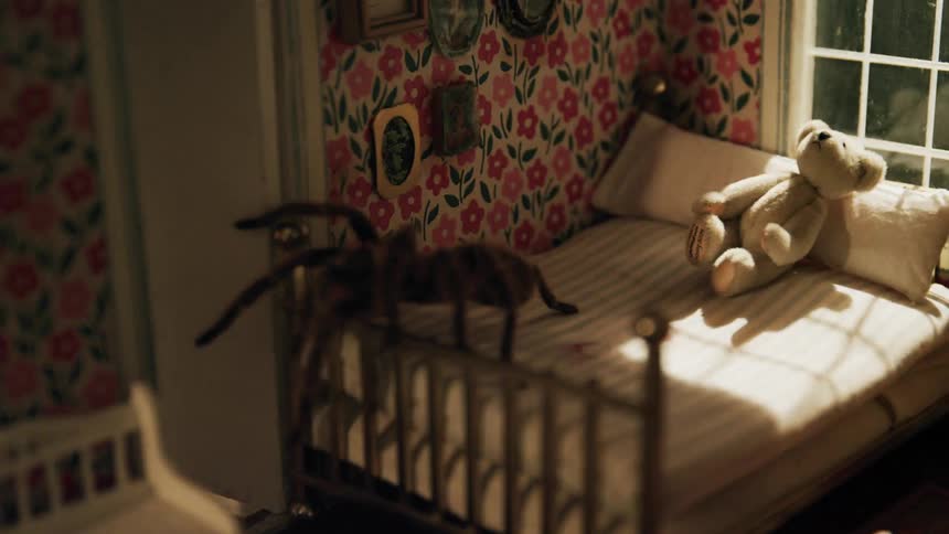 Tarantula crawling on a bed