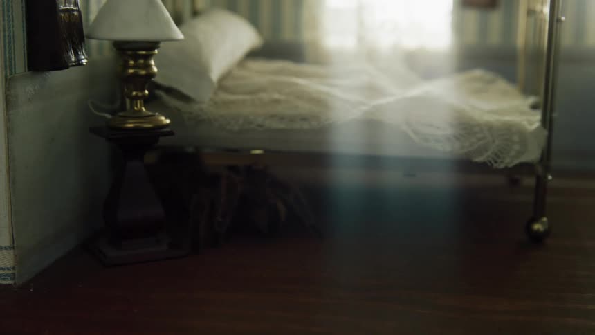 A tarantula in a dollhouse walking underneath a toy bed