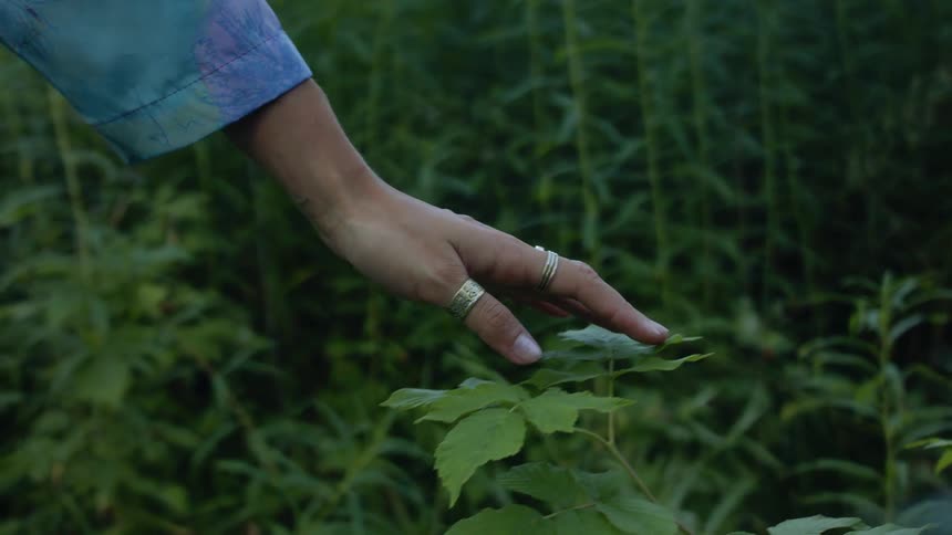A woman is standing outdoors by nature
