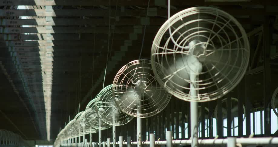 Spinning fans lined up inside of a farm house