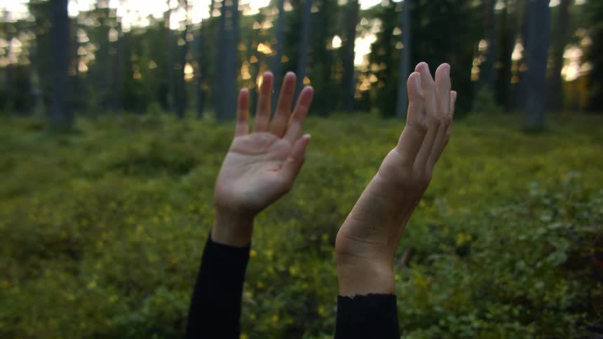 Woman hands calmly moving around in front of a set of trees in a forest