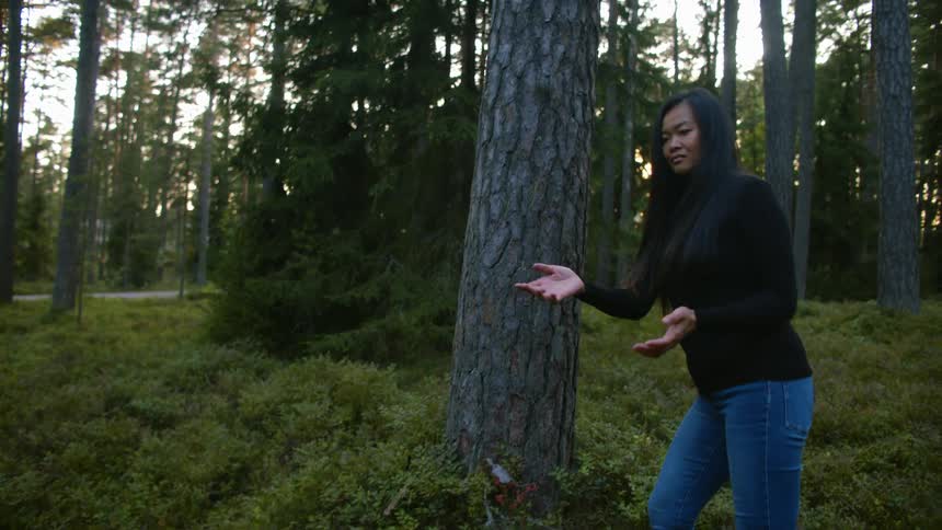 Woman trying to catch a bug in a forest