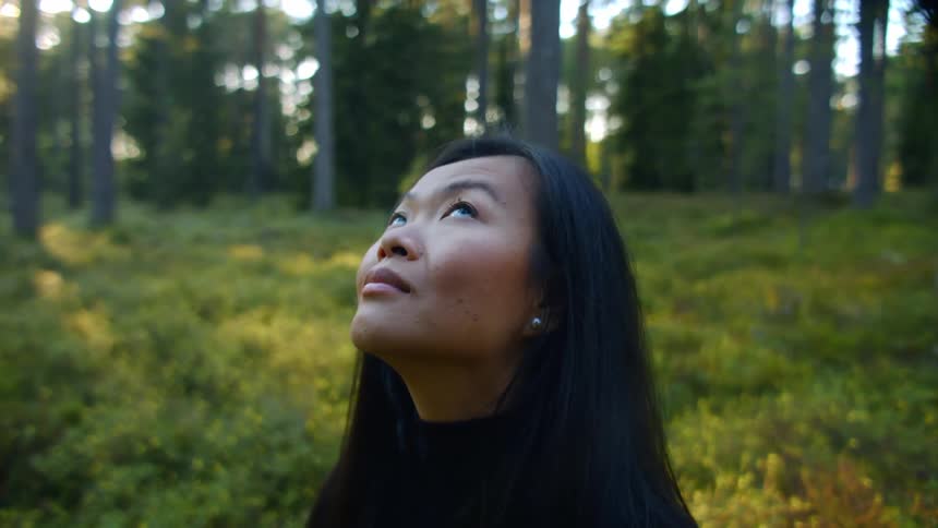 Woman stands in field near conifer forest looking up
