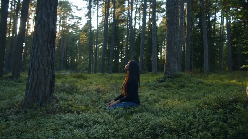 A woman is sitting in a forest at dusk