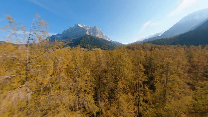 Aerial view of forest are displayed in autumn