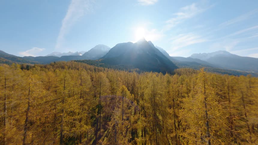 Mountain range blocking sunlight above tall trees in a forest