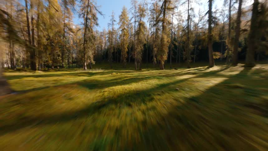 A forest with trees and grass with a mountain range the sky and clouds in the background
