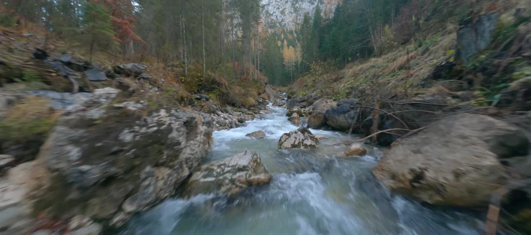 Rushing river flowing downstream in a woodland area