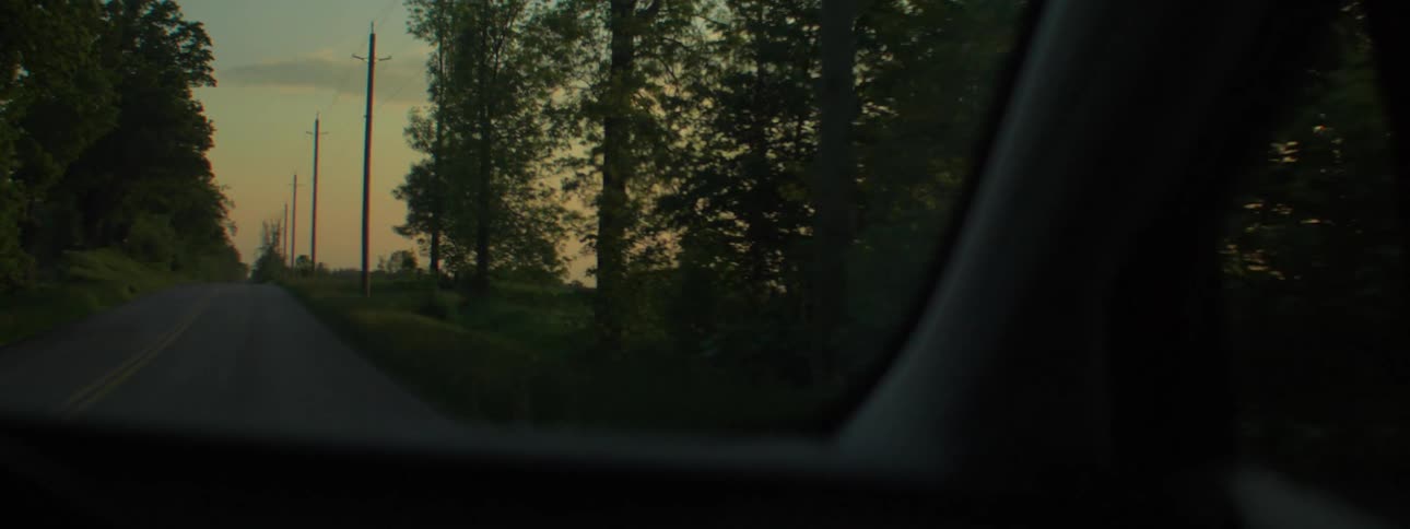 A car drives along a road lined with trees