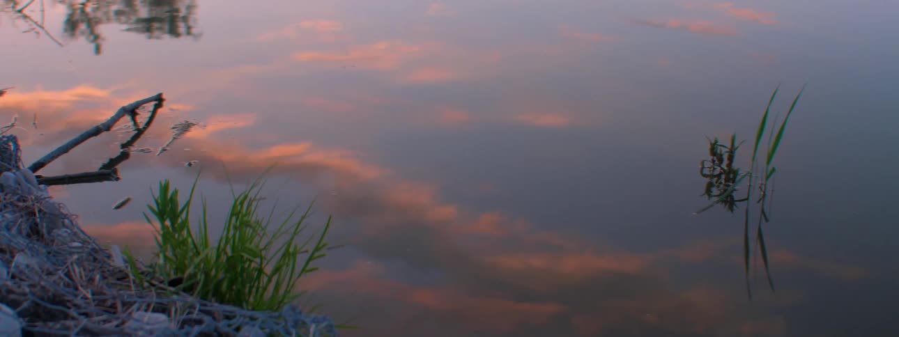 Puddle of water with a reflection of clouds in a sun setting sky