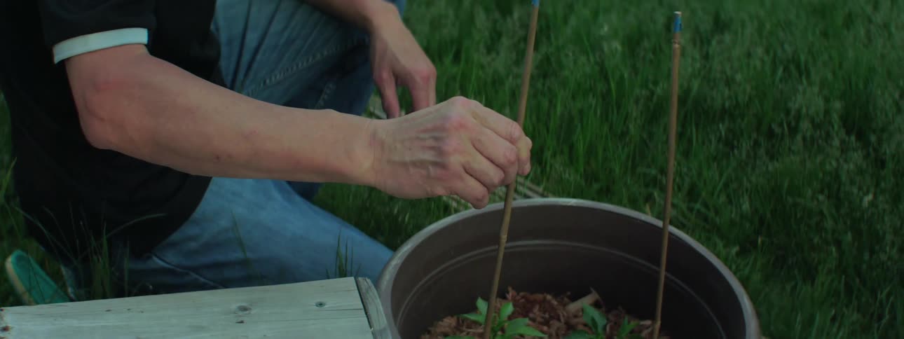 A man straightens sticks that are placed in the soil of potted plants