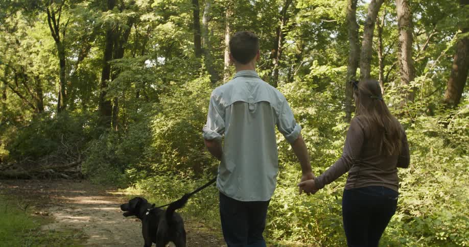 A young white man and a young white woman hold hands while walking their dog through the forest