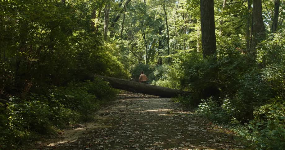 Shirtless man runs and jumps over a tree trunk in the woods