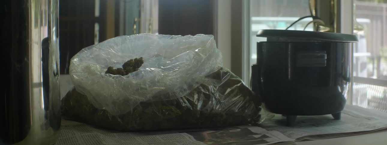 A garbaged size bag filled with marijuana sits next to a slow cooker on a kitchen counter