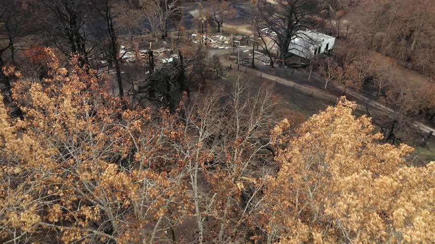 Burnt trees lie on the ground in a forest near a home in a rural area
