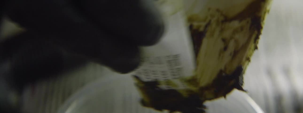 Person wearing gloves scrapes green mixture off spatula into plastic bowl