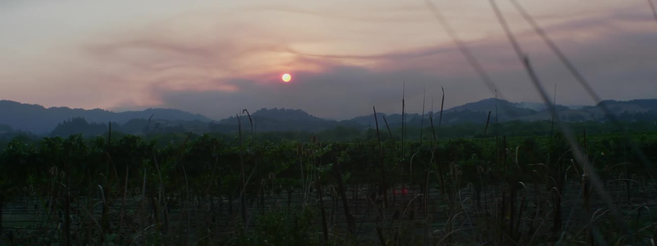 Sun sets over mountains across a field