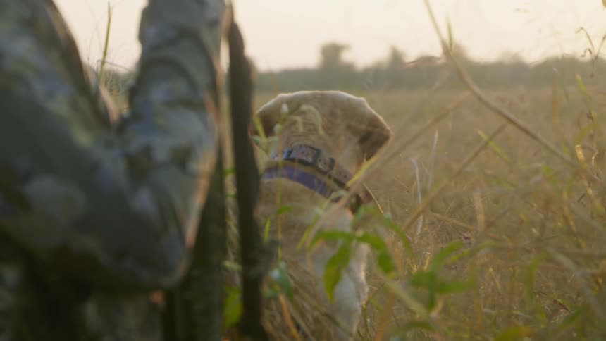 A man stands on a field with a dog wearing camouflage