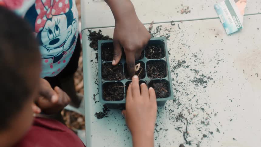 Two kids plant seeds in tray on table