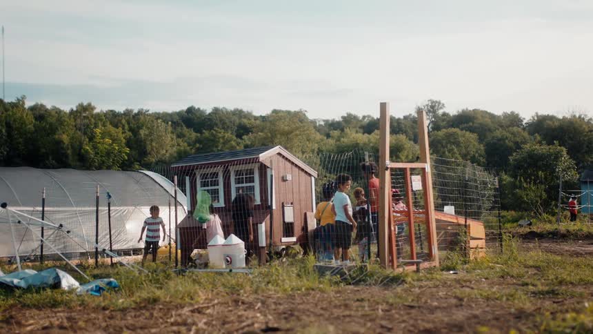 A group of children run around and play within an enclosure at a farm
