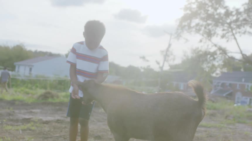 Little boy pets goat standing on a dirt lot with little grass while adults stand and walk around there are houses and trees in the background