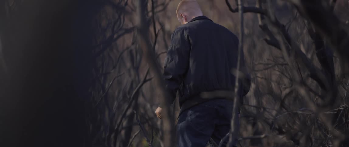 A man walks through a forest filled with barren trees