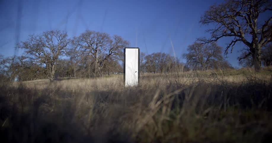 A white door that leads nowhere stands in an open field with tall grass