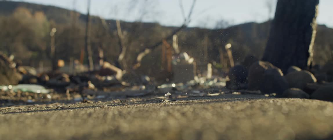 A white plate drops to the cement ground and shatters