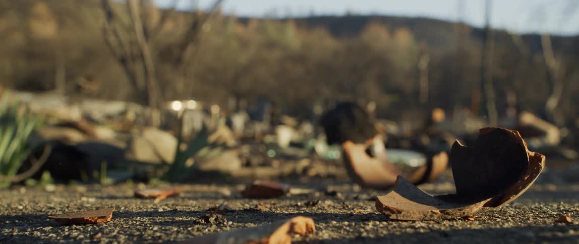 A terra cotta pot is dropped and shattered on asphalt in a desert