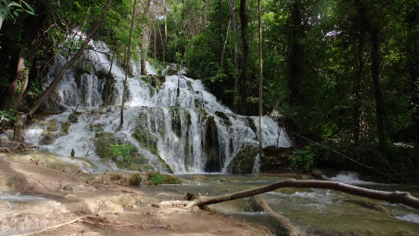 Waterfall in forest flows into stream among the trees