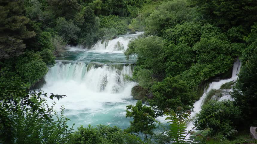 Waterfalls flowing downstream in the middle of lush green plants in a forest
