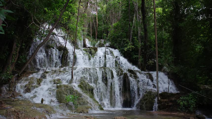Waterfall flows into stream in the forest