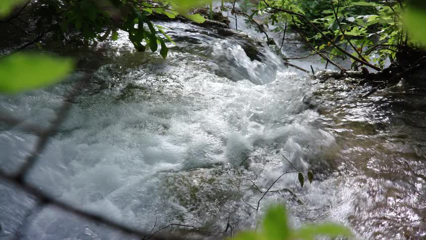 A creek with fast moving water near bright green vegetation
