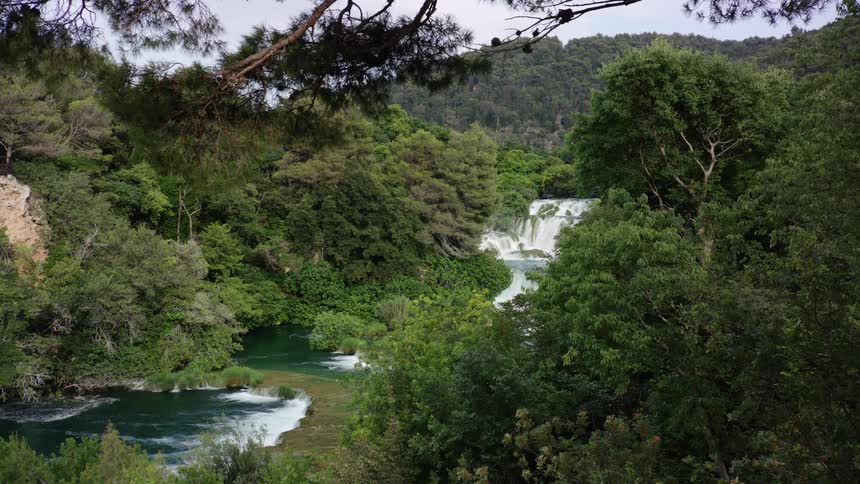 River with flowing waterfalls moving downstream in a forest in the day time
