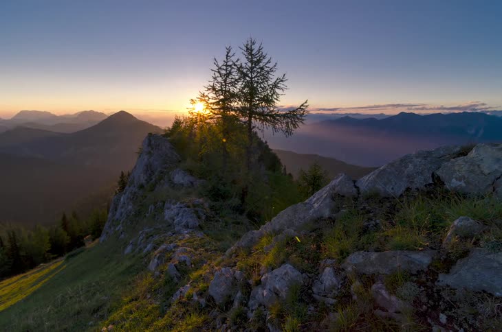 Time lapse of sunset sunlight filtering through trees atop a mountain