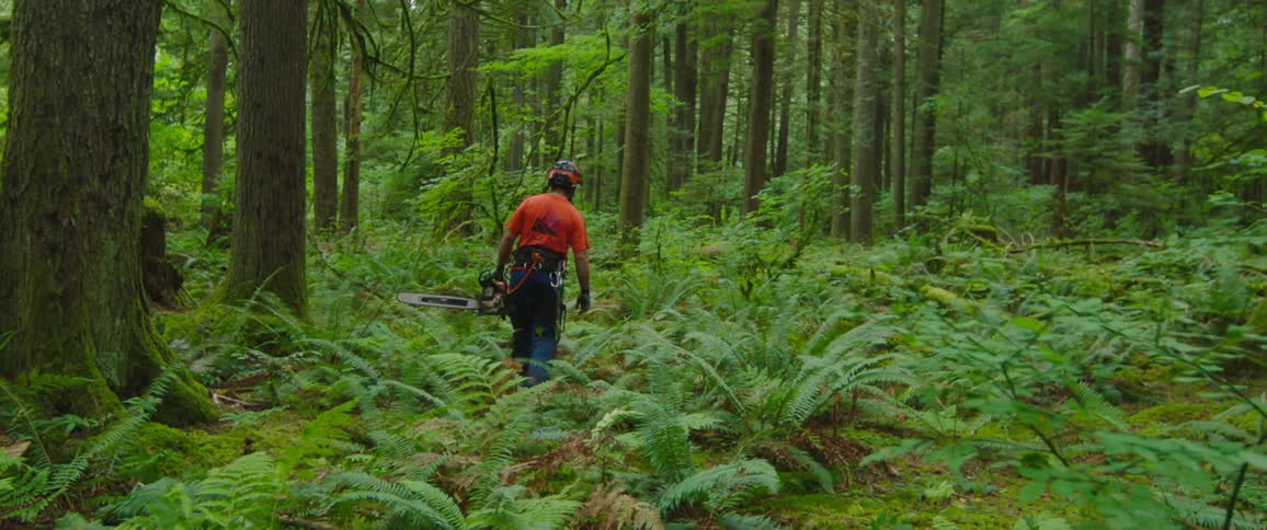 A man is carrying a chainsaw through a forest